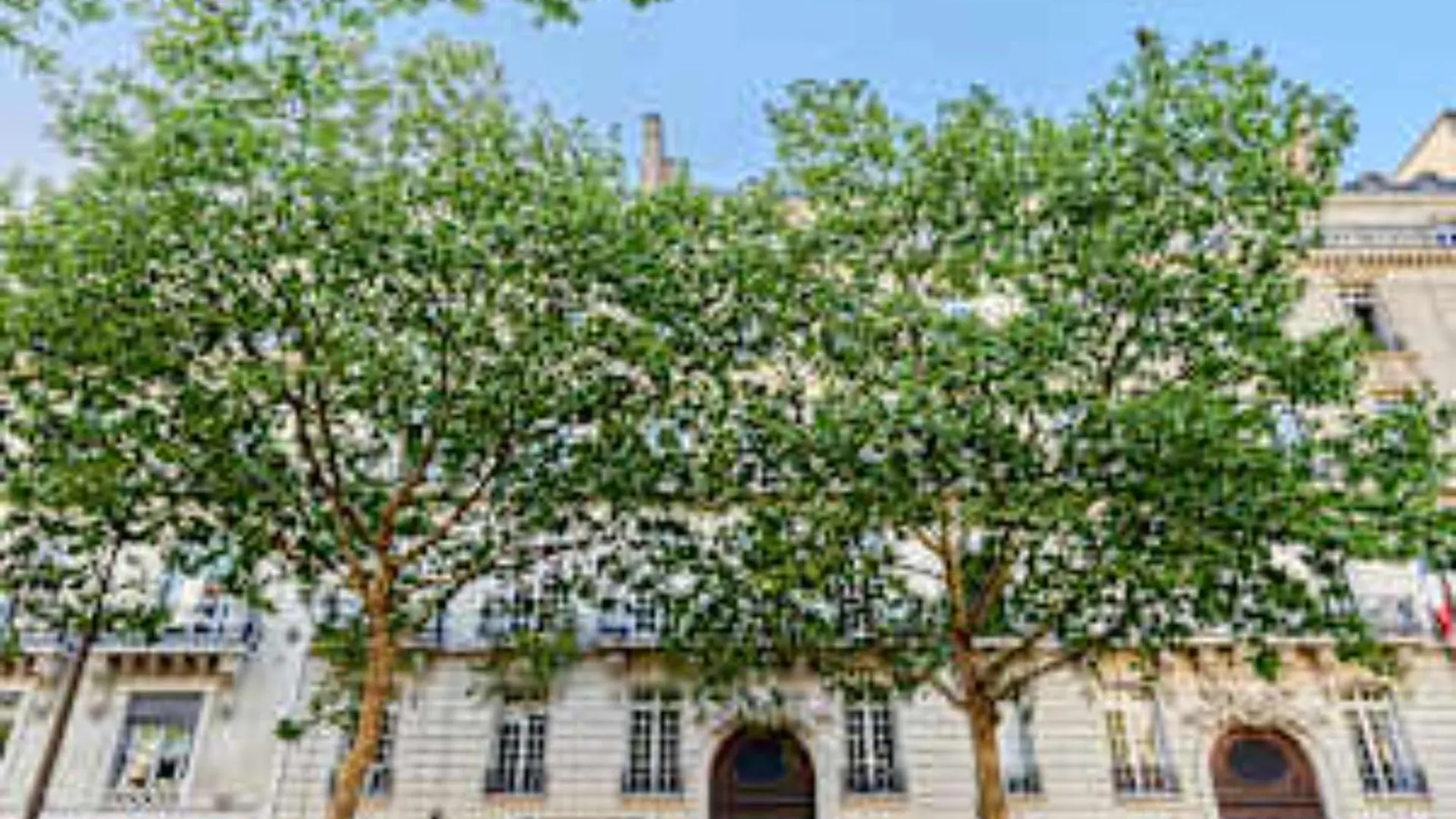 Superb Apartment Arc De Triomphe Trocadero 巴黎 法国